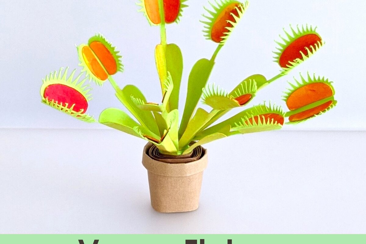 Intra απο ξύλο plywood 3mm-4mm πάχος – Αρχεία αποκοπής προτύπου Venus Flytrap Δίασταση  20x20 cm INTRAFABR-26016400