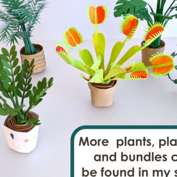 Intra απο ξύλο plywood 3mm-4mm πάχος – Πρότυπο φωτογραφιών ραφιών τοίχου Δίασταση  40x30 cm INTRAFABR-28366465 - Image 3