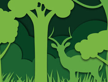 Intra απο ξύλο plywood 3mm-4mm πάχος – Κοπή με λέιζερ Wildlife Shadow Box Δίασταση  20x20 cm INTRAFABR-60649531 - Image 3