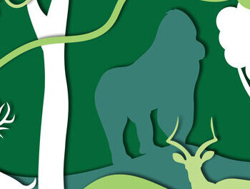 Intra απο ξύλο plywood 3mm-4mm πάχος – Κοπή με λέιζερ Wildlife Shadow Box Δίασταση  20x20 cm INTRAFABR-60649492 - Image 3