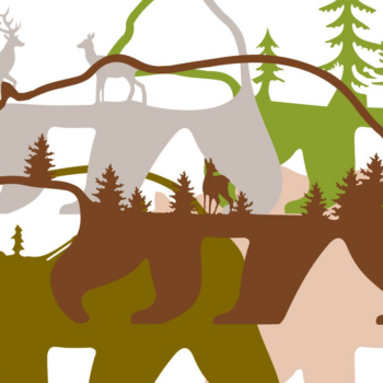 Intra απο ξύλο plywood 3mm-4mm πάχος – Ξύλινο χριστουγεννιάτικο στολίδιο αρκούδας Δίασταση  20x20 cm INTRAFABR-51136934 - Image 7