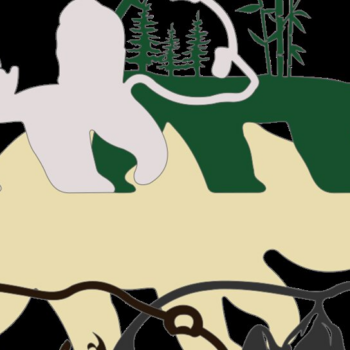 Intra απο ξύλο plywood 3mm-4mm πάχος – Ξύλινες στρώσεις Χριστουγεννιάτικων στολιδιών Panda Δίασταση  20x20 cm INTRAFABR-51452520 - Image 6