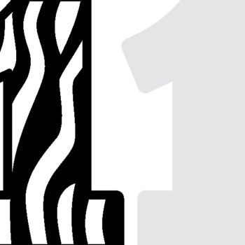 Intra απο ξύλο plywood 3mm-4mm πάχος – Zebra Numbers 3D Δίασταση  20x20 cm INTRAFABR-104384864 - Image 3