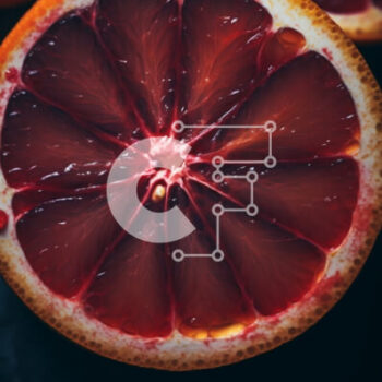 Intra Συλλεκτικό Ξύλινο Παζλ Plywood  4mm - Φρεσκοκομμένα γκρέιπφρουτ σε μαύρη επιφάνεια Σε Ξύλινο Κουτί - Διαστάσεις: 10x10 cm – 25 κομμάτια - Image 1