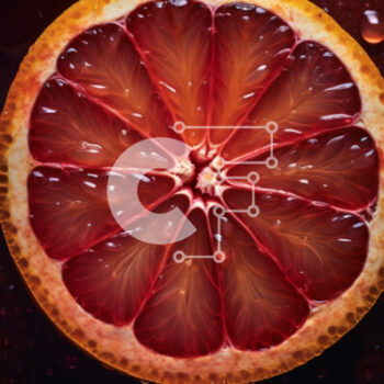 Intra Συλλεκτικό Ξύλινο Παζλ Plywood  4mm - Φρεσκοκομμένα γκρέιπφρουτ με σταγόνες νερού σε σκοτεινή επιφάνεια Σε Ξύλινο Κουτί - Διαστάσεις: 10x10 cm – 25 κομμάτια - Image 1