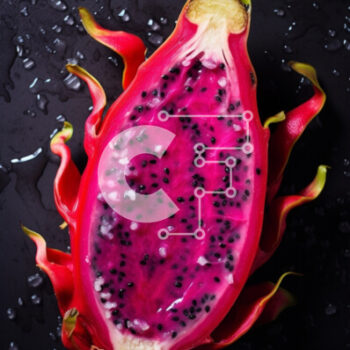 Intra Συλλεκτικό Ξύλινο Παζλ Plywood  4mm - Φρεσκοκομμένο Dragonfruit με Σταγόνες Νερού Σε Ξύλινο Κουτί - Διαστάσεις: 10x10 cm – 25 κομμάτια - Image 1