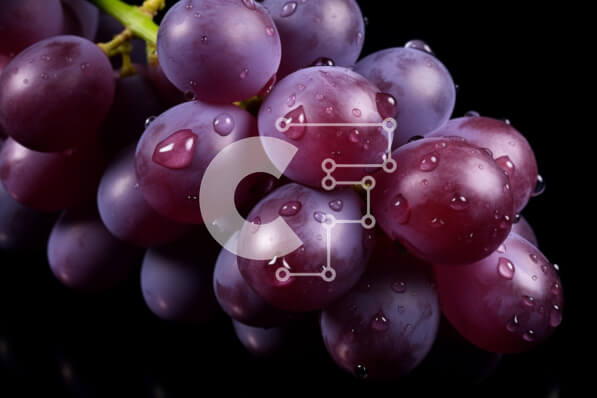 Intra Συλλεκτικό Ξύλινο Παζλ Plywood  4mm - Φρέσκα μωβ σταφύλια με σταγονίδια νερού Σε Ξύλινο Κουτί - Διαστάσεις: 10x10 cm – 25 κομμάτια