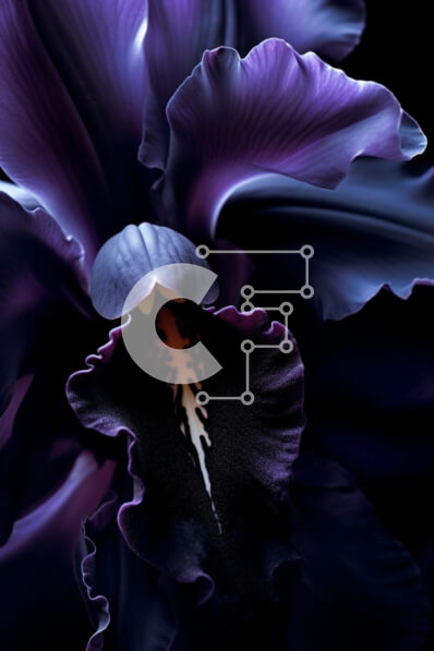 Intra Συλλεκτικό Ξύλινο Παζλ Plywood  4mm - Κοντινό πλάνο με σκούρο μωβ λουλούδι Σε Ξύλινο Κουτί - Διαστάσεις: 10x10 cm – 25 κομμάτια