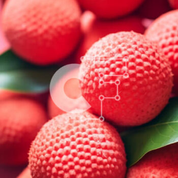 Intra Συλλεκτικό Ξύλινο Παζλ Plywood  4mm - Φρεσκοκομμένα κόκκινα φρούτα με φόντο πράσινο φύλλο Σε Ξύλινο Κουτί - Διαστάσεις: 10x10 cm – 25 κομμάτια - Image 1