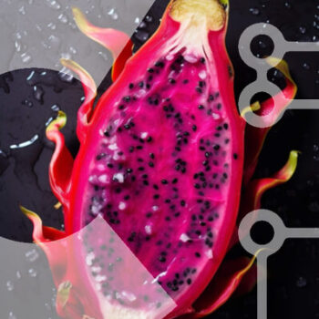 Intra Συλλεκτικό Ξύλινο Παζλ Plywood  4mm - Φρέσκο ​​Dragonfruit μισά με σταγόνες νερού Σε Ξύλινο Κουτί - Διαστάσεις: 10x10 cm – 25 κομμάτια - Image 1