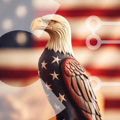 Intra Συλλεκτικό Ξύλινο Παζλ Plywood 4mm - Άγαλμα αετού μπροστά από την αμερικανική σημαία Σε Ξύλινο Κουτί - Διαστάσεις: 10x10 cm – 25 κομμάτια - Image 1