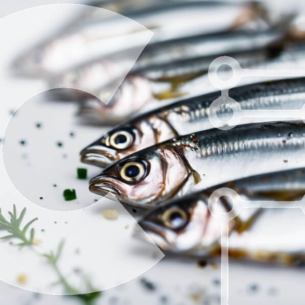 2fXGqJDZ9pnUViaEpAIEI0QpFrv-desktop