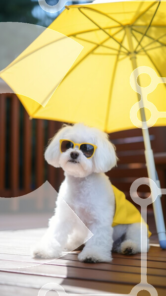 2gpGbGCkaZ6Vvfb8Eqi93lml9vE-desktop