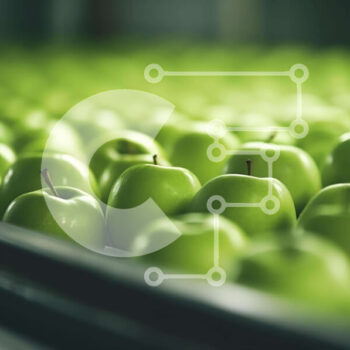 Intra Συλλεκτικό Ξύλινο Παζλ Plywood  4mm - Φρεσκοκομμένα πράσινα μήλα στη ζώνη μεταφοράς Σε Ξύλινο Κουτί - Διαστάσεις: 10x10 cm – 25 κομμάτια - Image 1