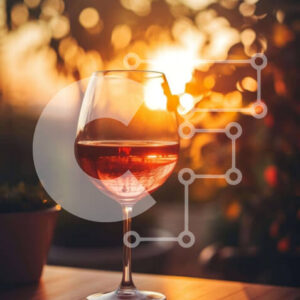 Intra Συλλεκτικό Ξύλινο Παζλ Plywood  4mm - Ποτήρι κρασιού με ροζ κρασί στο ηλιοβασίλεμα Σε Ξύλινο Κουτί - Διαστάσεις: 10x10 cm – 25 κομμάτια