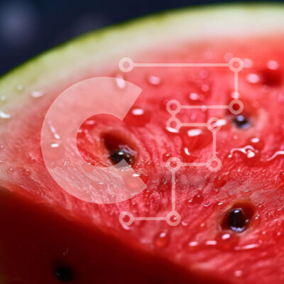 Intra Συλλεκτικό Ξύλινο Παζλ Plywood  4mm - Φρέσκια και ζουμερή φέτα καρπούζι με σταγόνες νερού Σε Ξύλινο Κουτί - Διαστάσεις: 10x10 cm – 25 κομμάτια - Image 1