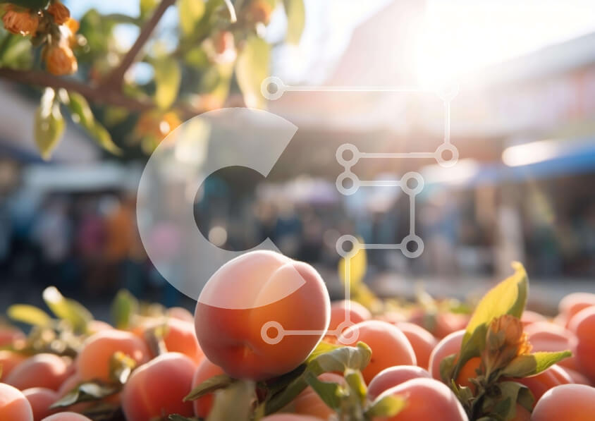 Intra Συλλεκτικό Ξύλινο Παζλ Plywood  4mm - Φρέσκα ροδάκινα στην υπαίθρια αγορά Σε Ξύλινο Κουτί - Διαστάσεις: 10x10 cm – 25 κομμάτια