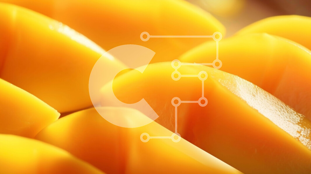 Intra Συλλεκτικό Ξύλινο Παζλ Plywood  4mm - Κοντινό πλάνο με φρέσκες φέτες μάνγκο και μπανάνες Σε Ξύλινο Κουτί - Διαστάσεις: 10x10 cm – 25 κομμάτια