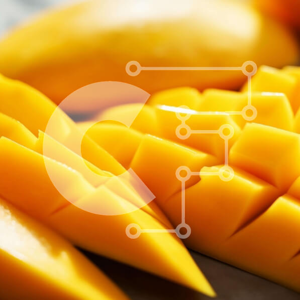 2ik6OsZmC3XM8dR4eeppWvfrH0F-desktop