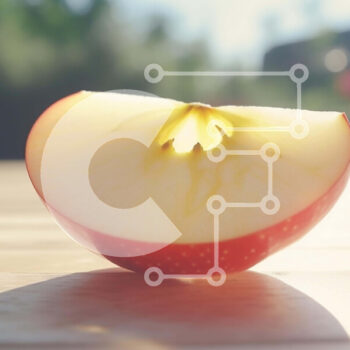 Intra Συλλεκτικό Ξύλινο Παζλ Plywood  4mm - Φρεσκοκομμένο μήλο Σε Ξύλινο Κουτί - Διαστάσεις: 10x10 cm – 25 κομμάτια - Image 1