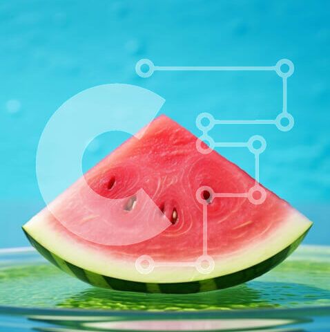 Intra Συλλεκτικό Ξύλινο Παζλ Plywood  4mm - Φέτα καρπούζι που επιπλέει στο νερό Σε Ξύλινο Κουτί - Διαστάσεις: 10x10 cm – 25 κομμάτια - Image 1