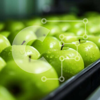 Intra Συλλεκτικό Ξύλινο Παζλ Plywood  4mm - Φρεσκοκομμένα πράσινα μήλα στη ζώνη μεταφοράς Σε Ξύλινο Κουτί - Διαστάσεις: 10x10 cm – 25 κομμάτια - Image 1