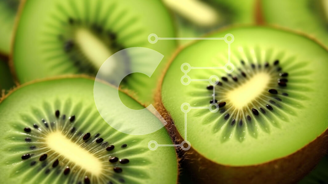 Intra Συλλεκτικό Ξύλινο Παζλ Plywood  4mm - Κοντινό πλάνο πράσινων φετών φρούτων ακτινιδίων Σε Ξύλινο Κουτί - Διαστάσεις: 10x10 cm – 25 κομμάτια