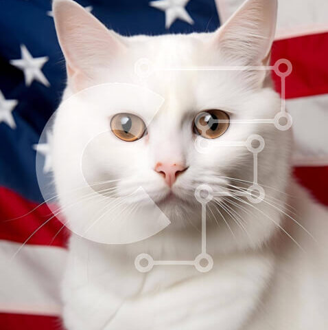 Intra Συλλεκτικό Ξύλινο Παζλ Plywood  4mm - Λευκή γάτα μπροστά από την αμερικανική σημαία Σε Ξύλινο Κουτί - Διαστάσεις: 10x10 cm – 25 κομμάτια - Image 1