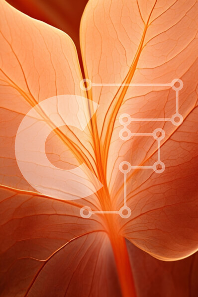 Intra Συλλεκτικό Ξύλινο Παζλ Plywood  4mm - Κοντινό πλάνο ενός φύλλου πορτοκαλιού από διαφορετικές γωνίες Σε Ξύλινο Κουτί - Διαστάσεις: 10x10 cm – 25 κομμάτια