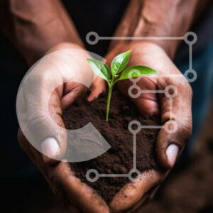 Intra Συλλεκτικό Ξύλινο Παζλ Plywood  4mm - Χέρια που κρατούν ένα μικρό πράσινο φυτό στο έδαφος Σε Ξύλινο Κουτί - Διαστάσεις: 10x10 cm – 25 κομμάτια