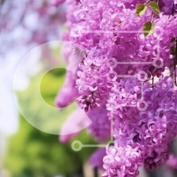 Intra Συλλεκτικό Ξύλινο Παζλ Plywood  4mm - Purple Lilac Tree in Bloom στην οδό City Σε Ξύλινο Κουτί - Διαστάσεις: 10x10 cm – 25 κομμάτια - Image 1