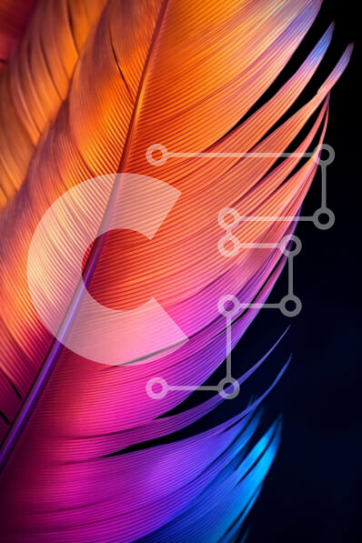 Intra Συλλεκτικό Ξύλινο Παζλ Plywood  4mm - Κοντινό πλάνο με ζωηρό πορτοκαλί, μωβ και μπλε φτερά Σε Ξύλινο Κουτί - Διαστάσεις: 10x10 cm – 25 κομμάτια