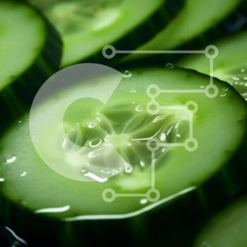 Intra Συλλεκτικό Ξύλινο Παζλ Plywood  4mm - Φρέσκες φέτες αγγουριού στο νερό Σε Ξύλινο Κουτί - Διαστάσεις: 10x10 cm – 25 κομμάτια - Image 1