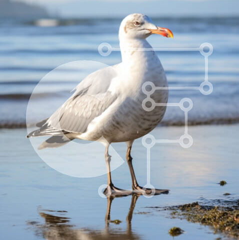 Intra Συλλεκτικό Ξύλινο Παζλ Plywood 4mm - Λευκός Γλάρος στην παραλία κοντά στο νερό Σε Ξύλινο Κουτί - Διαστάσεις: 10x10 cm – 25 κομμάτια - Image 1