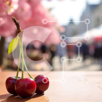 Intra Συλλεκτικό Ξύλινο Παζλ Plywood  4mm - Φρεσκοκομμένα κεράσια σε υπαίθρια αγορά Σε Ξύλινο Κουτί - Διαστάσεις: 10x10 cm – 25 κομμάτια - Image 1