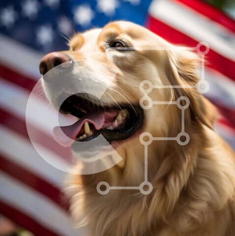 Intra Συλλεκτικό Ξύλινο Παζλ Plywood  4mm - Ευτυχισμένος σκύλος Γκόλντεν Ριτρίβερ με αμερικανική σημαία Σε Ξύλινο Κουτί - Διαστάσεις: 10x10 cm – 25 κομμάτια - Image 1