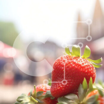 Intra Συλλεκτικό Ξύλινο Παζλ Plywood  4mm - Φρέσκες φράουλες και διάφορα προϊόντα στην υπαίθρια αγορά Σε Ξύλινο Κουτί - Διαστάσεις: 10x10 cm – 25 κομμάτια - Image 1