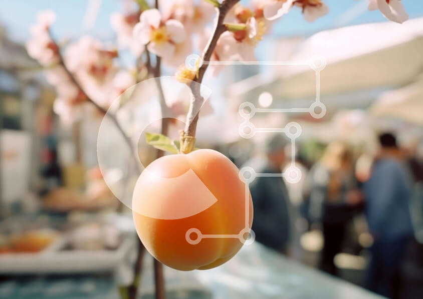 Intra Συλλεκτικό Ξύλινο Παζλ Plywood  4mm - Συγκέντρωση πορτοκαλιών και φεστιβάλ Σε Ξύλινο Κουτί - Διαστάσεις: 10x10 cm – 25 κομμάτια