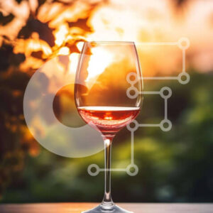 Intra Συλλεκτικό Ξύλινο Παζλ Plywood  4mm - Ποτήρι κόκκινο κρασί στο ηλιοβασίλεμα Σε Ξύλινο Κουτί - Διαστάσεις: 10x10 cm – 25 κομμάτια