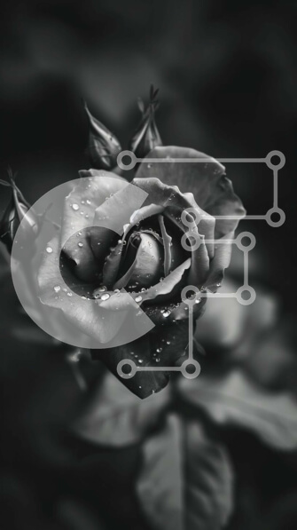 2ikB0drwiXrWucsNLNUbIYpJ3Dj-desktop