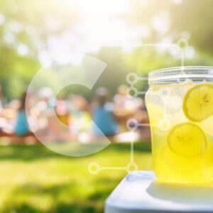 Intra Συλλεκτικό Ξύλινο Παζλ Plywood  4mm - Mason Jar Lemonade and People Outdoors Σε Ξύλινο Κουτί - Διαστάσεις: 10x10 cm – 25 κομμάτια