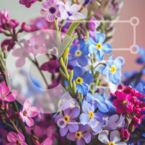 Intra Συλλεκτικό Ξύλινο Παζλ Plywood  4mm - Πολύχρωμο μπουκέτο λουλούδια Σε Ξύλινο Κουτί - Διαστάσεις: 10x10 cm – 25 κομμάτια