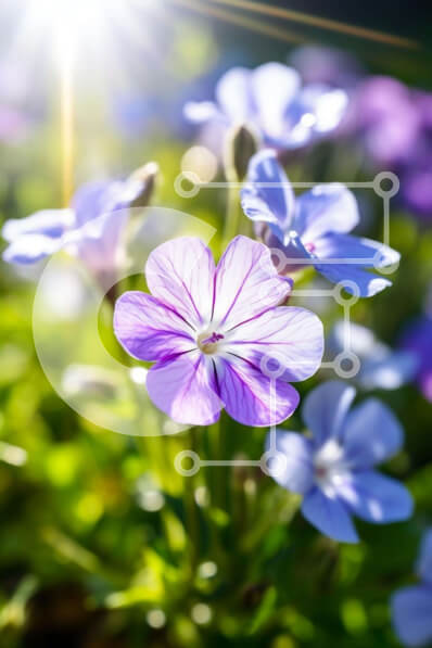 Intra Συλλεκτικό Ξύλινο Παζλ Plywood  4mm - Κοντινό πλάνο μωβ και λευκά λουλούδια με έντονο φως του ήλιου Σε Ξύλινο Κουτί - Διαστάσεις: 10x10 cm – 25 κομμάτια