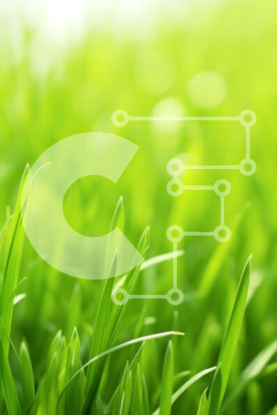 Intra Συλλεκτικό Ξύλινο Παζλ Plywood  4mm - Πλούσιο πράσινο γρασίδι κινηματογράφηση σε πρώτο πλάνο στο Λυκόφως Σε Ξύλινο Κουτί - Διαστάσεις: 10x10 cm – 25 κομμάτια