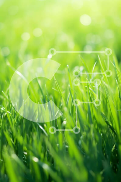 Intra Συλλεκτικό Ξύλινο Παζλ Plywood  4mm - Κοντινό πλάνο της πλούσιας πράσινης χλόης με την αντανάκλαση του ηλιακού φωτός Σε Ξύλινο Κουτί - Διαστάσεις: 10x10 cm – 25 κομμάτια