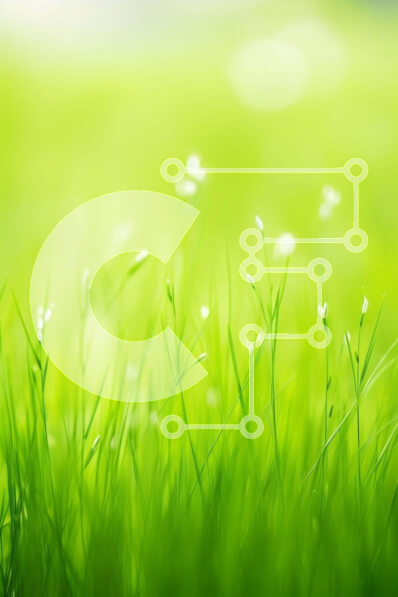 Intra Συλλεκτικό Ξύλινο Παζλ Plywood  4mm - Πράσινο χωράφι με γρασίδι με λευκά λουλούδια στο έντονο φως του ήλιου Σε Ξύλινο Κουτί - Διαστάσεις: 10x10 cm – 25 κομμάτια