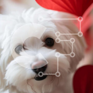 Intra Συλλεκτικό Ξύλινο Παζλ Plywood  4mm - Μικρό λευκό σκυλάκι με κόκκινα χάρτινα φαναράκια σε σχήμα καρδιάς Σε Ξύλινο Κουτί - Διαστάσεις: 10x10 cm – 25 κομμάτια