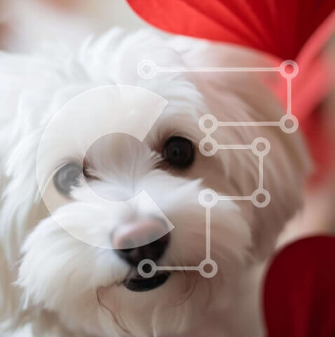 Intra Συλλεκτικό Ξύλινο Παζλ Plywood 4mm - Μικρό λευκό σκυλάκι με κόκκινα χάρτινα φαναράκια σε σχήμα καρδιάς Σε Ξύλινο Κουτί - Διαστάσεις: 10x10 cm – 25 κομμάτια - Image 1