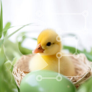 Intra Συλλεκτικό Ξύλινο Παζλ Plywood  4mm - Μικρό κίτρινο παπάκι στη φωλιά με πράσινα φύλλα Σε Ξύλινο Κουτί - Διαστάσεις: 10x10 cm – 25 κομμάτια