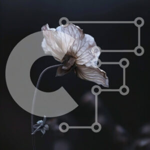 Intra Συλλεκτικό Ξύλινο Παζλ Plywood  4mm - Μονό λευκό λουλούδι με μισοφέγγαρο στο φόντο Σε Ξύλινο Κουτί - Διαστάσεις: 10x10 cm – 25 κομμάτια